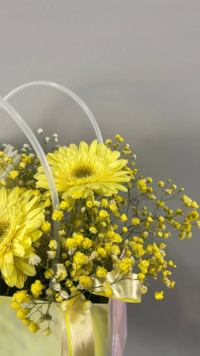 Композиция в сумочке с гермини "Маленькая страна" арт 99006130665Дв